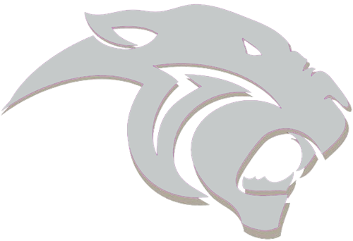 panther icon 